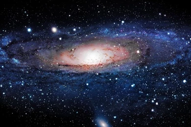 Lion Wallpapers Hd 1080p