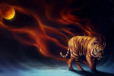 Tiger Power Exclusive HD Wallpapers