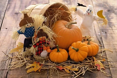 Thanksgiving Wallpapers Desktop D9W   Savewallpaper.com