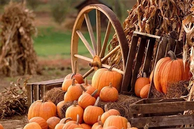 Thanks giving 1.jpeg