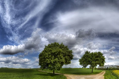 Desktop wallpapers live 3.jpg