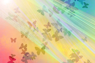 Rainbow Butterflies Backgrounds Photo By Frazay99