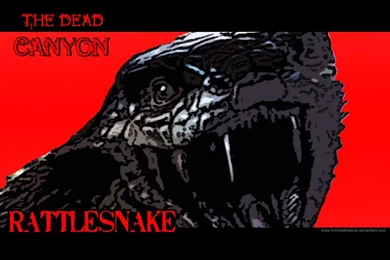 Rattlesnake Wallpapers By HimmeltheBlue On DeviantArt