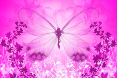 Wallpapers Of Butterflies   Wallpapers HD Wide