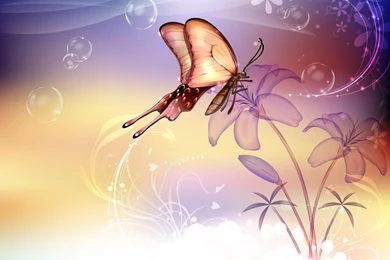 Butterflies Computer Wallpapers, Desktop Backgrounds