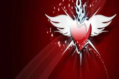 Download Latest Wallpapers For Mobile   Desktop Backgrounds