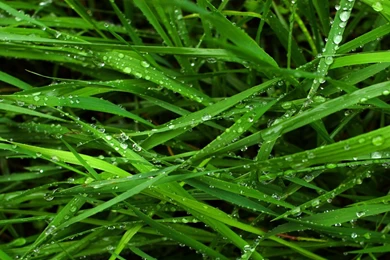 Desktop Wallpaper: Monitor Wallpapers