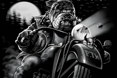 BIKER DOG WALLPAPER   (