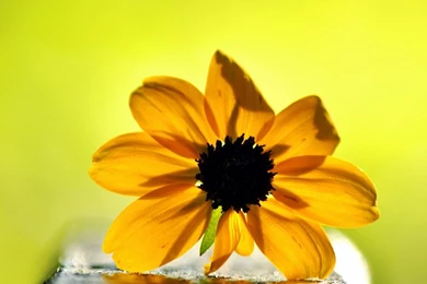 High Quality Images, Landscape, Amazing Views, Cool Backgrounds ...