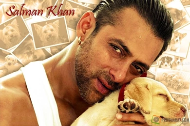 Salman Khan, Salman Khan Wallpapers Download, Wallpapers Of Salman ...