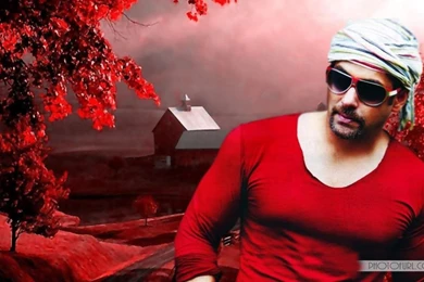 Salman Khan Bodybuilding Wallpapers And Pictures