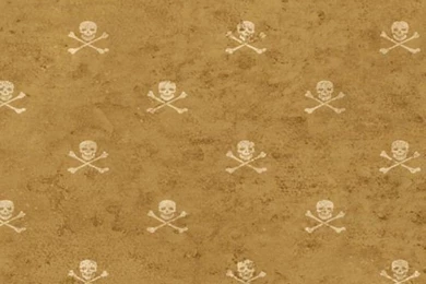 York vintage skull and crossbones wallpaper 2.jpg