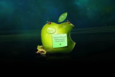 1024x768 Interesting Apple Desktop PC And Mac Wallpapers