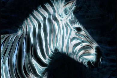 Fractal Tiger Wallpapers By PimArt On DeviantArt