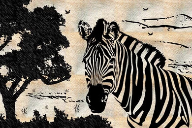 Zebra Drawing Computer Wallpapers, Desktop Backgrounds