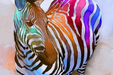 Funny Animal: 09/10/11