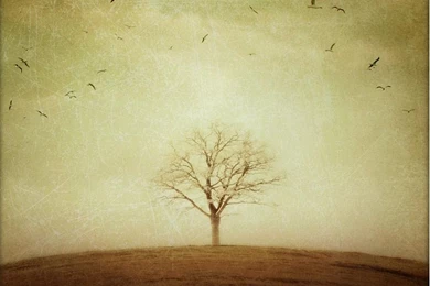 Makeup Wallpapers For Walls