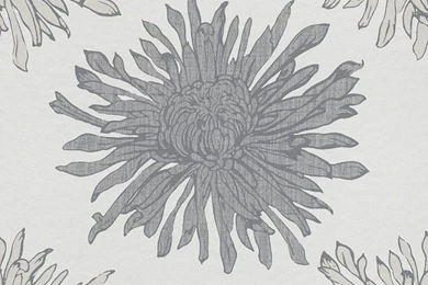 724868_530 800x800.jpg