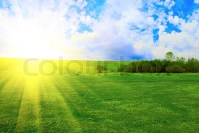 Field Of Green Grass On A Backgrounds A Sunrise