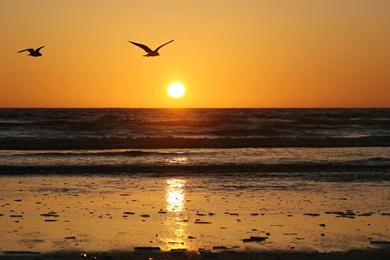 Sunrise Computer Wallpapers, Desktop Backgrounds