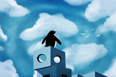 182 Penguin HD Wallpapers