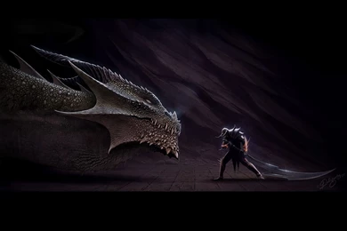 Gothic Dragon Wallpapers   Magic4Walls.com