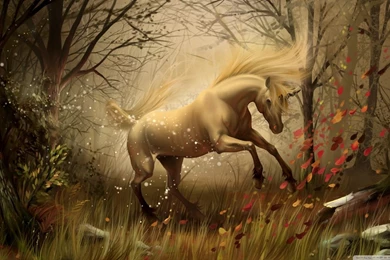 Unicorn HD Desktop Wallpapers : High Definition : Fullscreen : Mobile