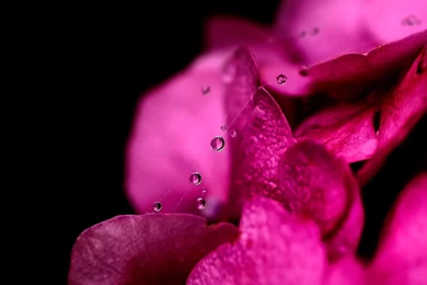 Bold Wallpapers >> Backgrounds With Quality HD