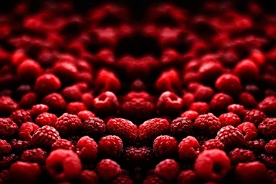 Red Cherry Collection Wide High Resolution Wallpapers