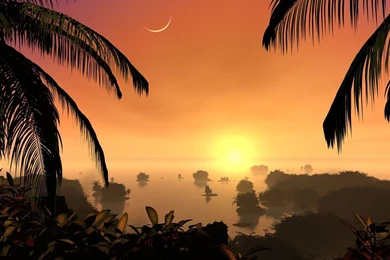 Morning Sun HD Wallpaper, Morning Sun Images, New Wallpapers