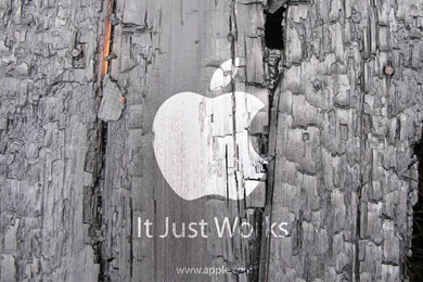 Wood Apple Wallpaper HD Background.jpg