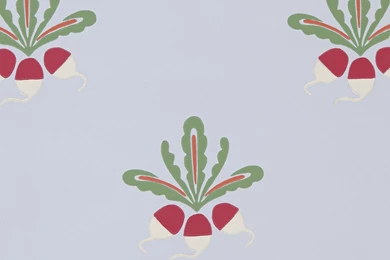 Radish Wallpapers   Wallpapers