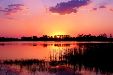 Fiery Pink Sunset Wallpapers By Richardxthripp On DeviantArt