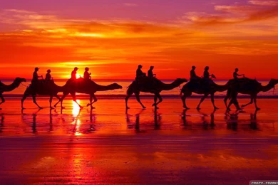 Romantic Sunset Wallpapers   Crazy Frankenstein