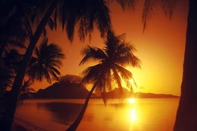 Beach_sunset_wallpaper.jpg
