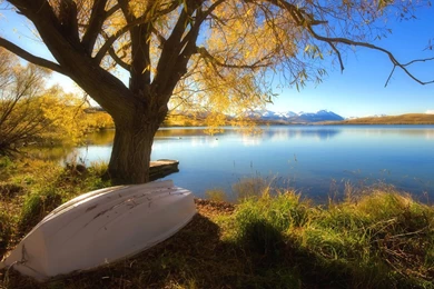 Green Landscape Wallpapers HD (18)