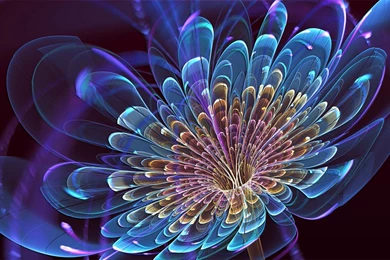 Cool Abstract Flower