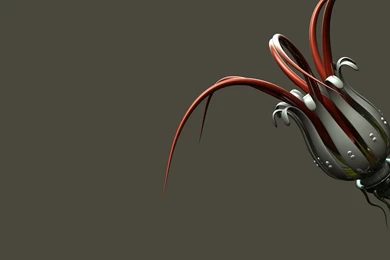 3D, Flowers   Wallpapers – Yoyowall.com