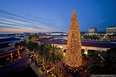 Christmas Island Wallpapers   Crazy Frankenstein