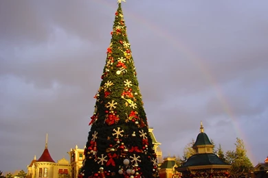 Big Christmas Tree Wallpapers   682489