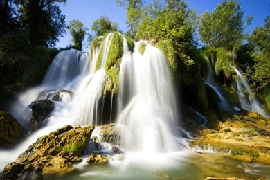 View, Natural Images, Flowers, Field, Nature Background Images ...