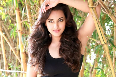 Bollywood Heroine Sonakshi Sinha High Quality Photos
