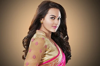 Sonakshi Sinha Super Gorgeous Saree