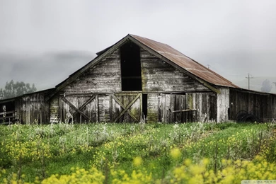 Download Old Barn Wallpapers Old, Barn