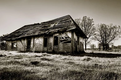 Download Wallpapers 1920x1200 Black White, Barn, Old, Wooden, Grass ...