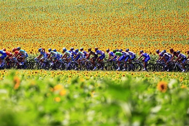 Confessions Of A Tour De France Junkie   JACQUELINE YAU