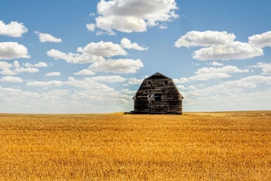 Download And Old Barn iPad Wallpapers Summer Field And Old Barn ...