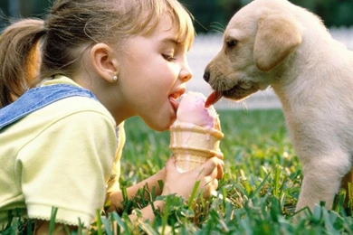 Cute Girl And Dog Free Desktop Backgrounds Free Wallpapers Image