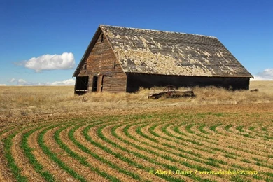 Wallpapers Millenium Era Old Barns And Old People