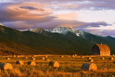 AGS 169065 D 5768 « Enter Station